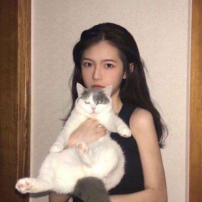 星尘决手游qq微信版下载
